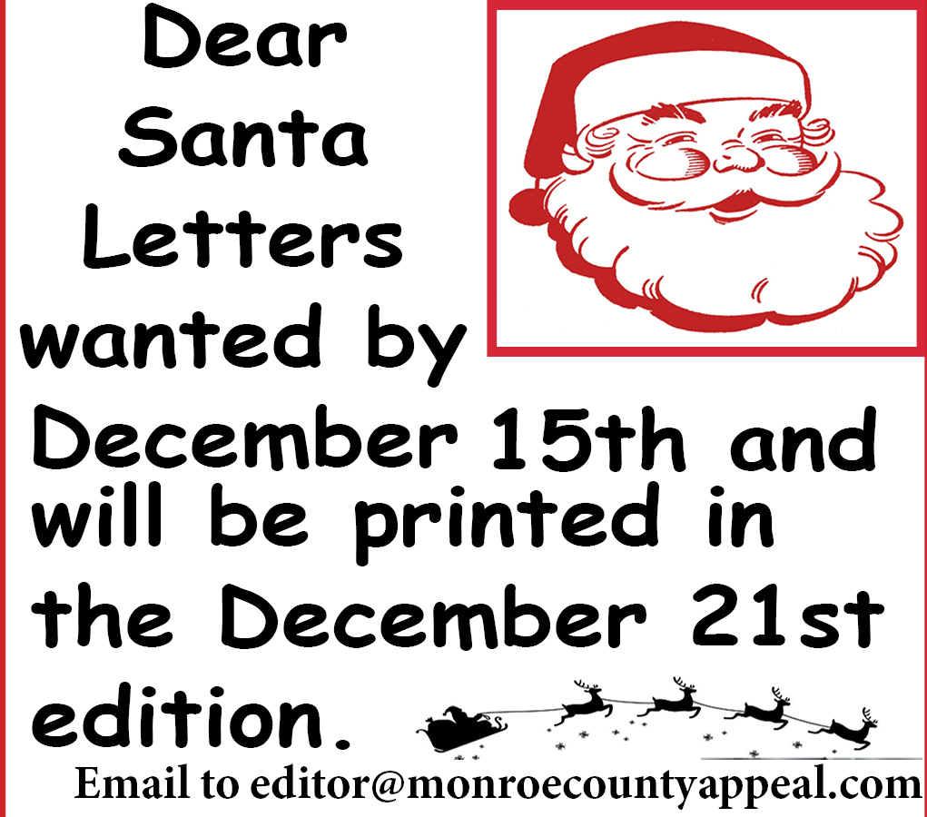 Dear Santa Letters